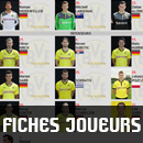 fiches